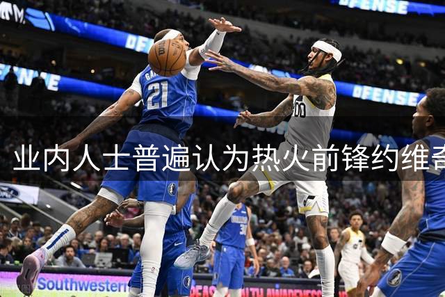 业内人士普遍认为热火前锋约维奇合同价值欠佳
